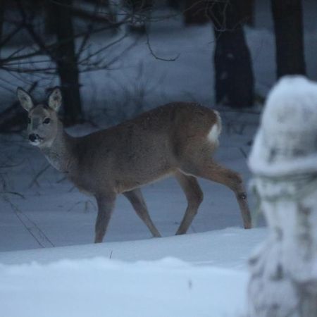 Kompleks Male Dolomity Hucisko  Buitenkant foto